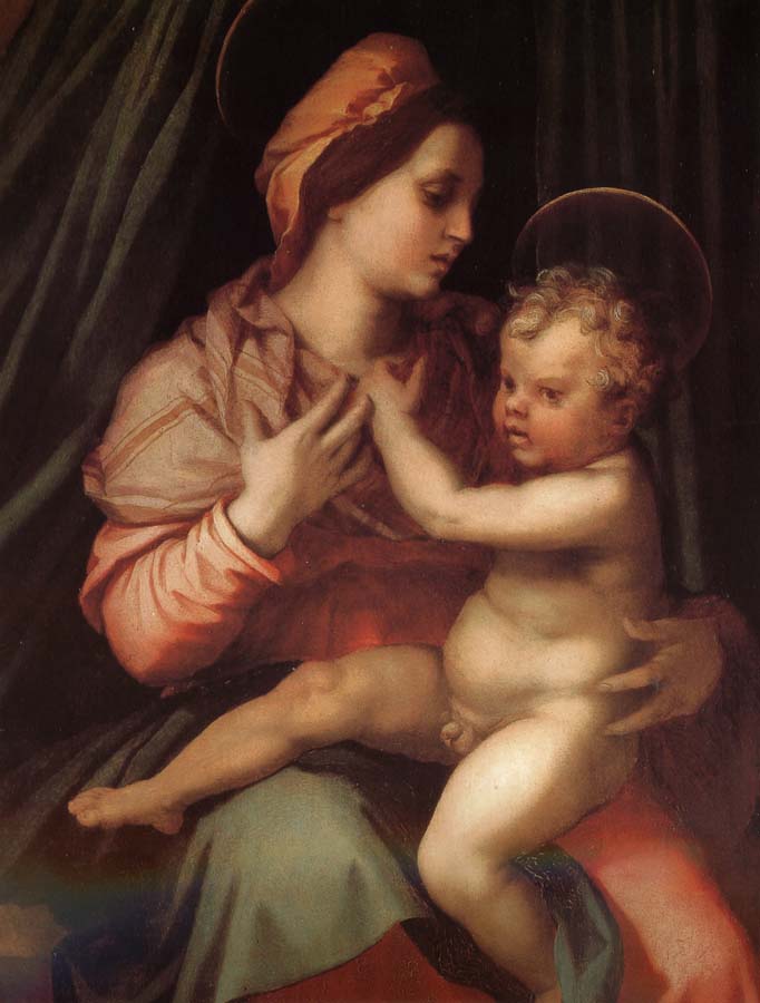 Andrea del Sarto The Virgin and Child